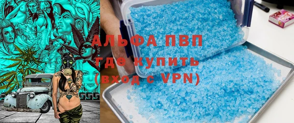 стафф Алексин