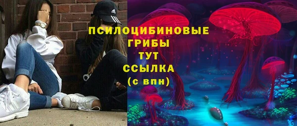 стафф Алексин