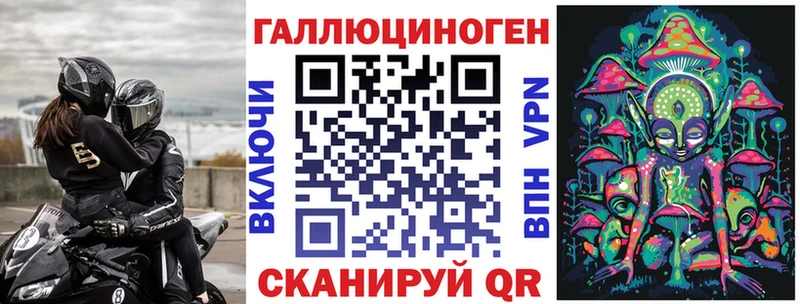 Галлюциногенные грибы Psilocybine cubensis  мориарти какой сайт  Жирновск 
