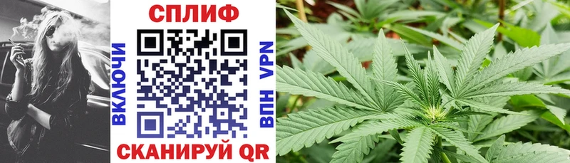 Канабис планчик  купить   Жирновск 